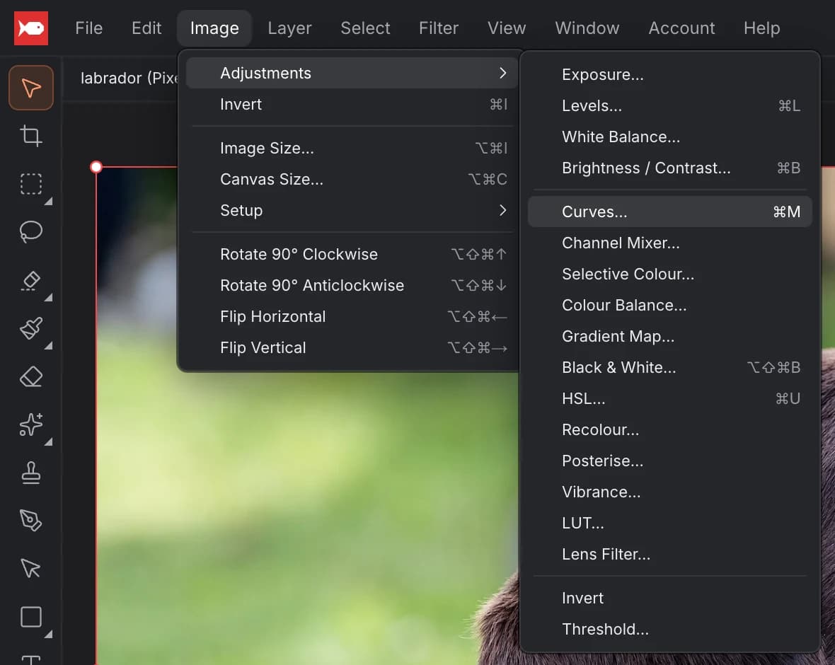 The Image menu with the Adjustments submenu open: Exposure, Levels, White Balance, Brightness / Contrast, Curves, Channel Mixer, Selective Colour, Colour Balance, Gradient Map, Black & White, HSL, Recolour, Posterise, Vibrance, LUT, Lens Filter, Invert and Threshold