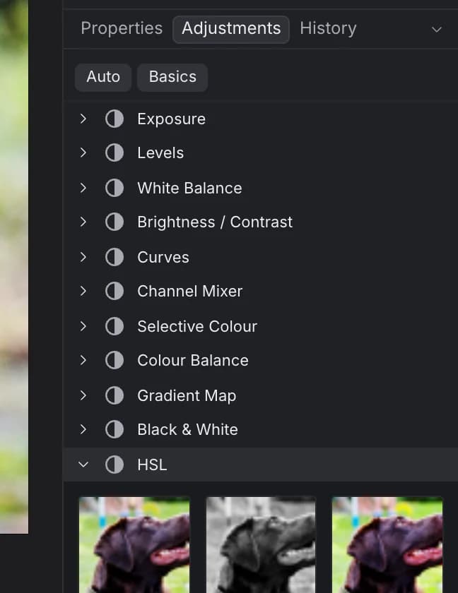 The Adjustments panel with Auto and Basics buttons, a list of adjustments, and HSL expanded showing preset thumbnails of the photo