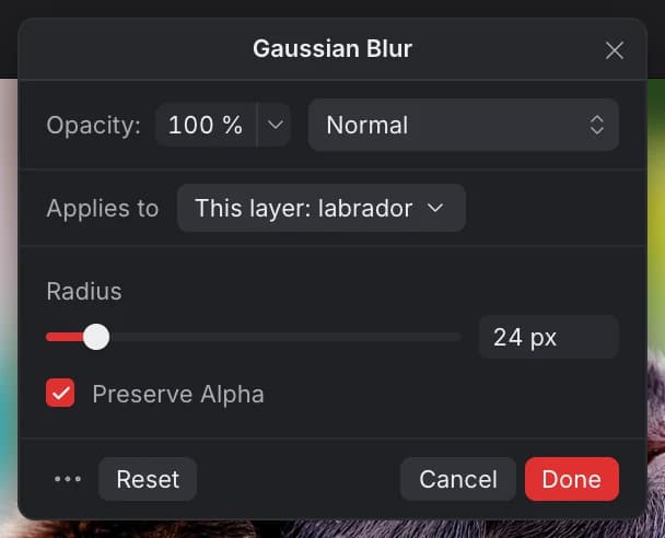 The Gaussian Blur window: Applies to This layer: labrador, Radius 24 px, Preserve Alpha ticked, Reset, Cancel and Done