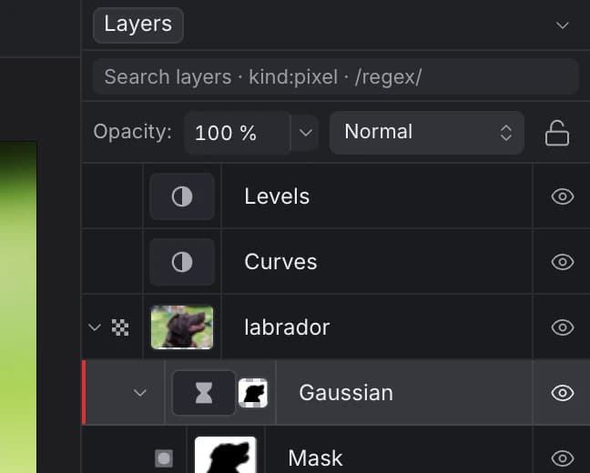 The Layers panel: Levels and Curves adjustment layers above the labrador photo, and inside it a Gaussian live filter layer with a mask that hides the dog