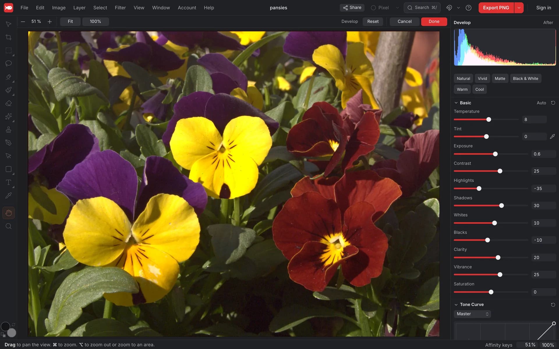 The koi.photo editor in Develop: the photo of pansies on the canvas, the Develop panel on the right with the histogram, presets and the Basic sliders, Reset, Cancel and Done at the top