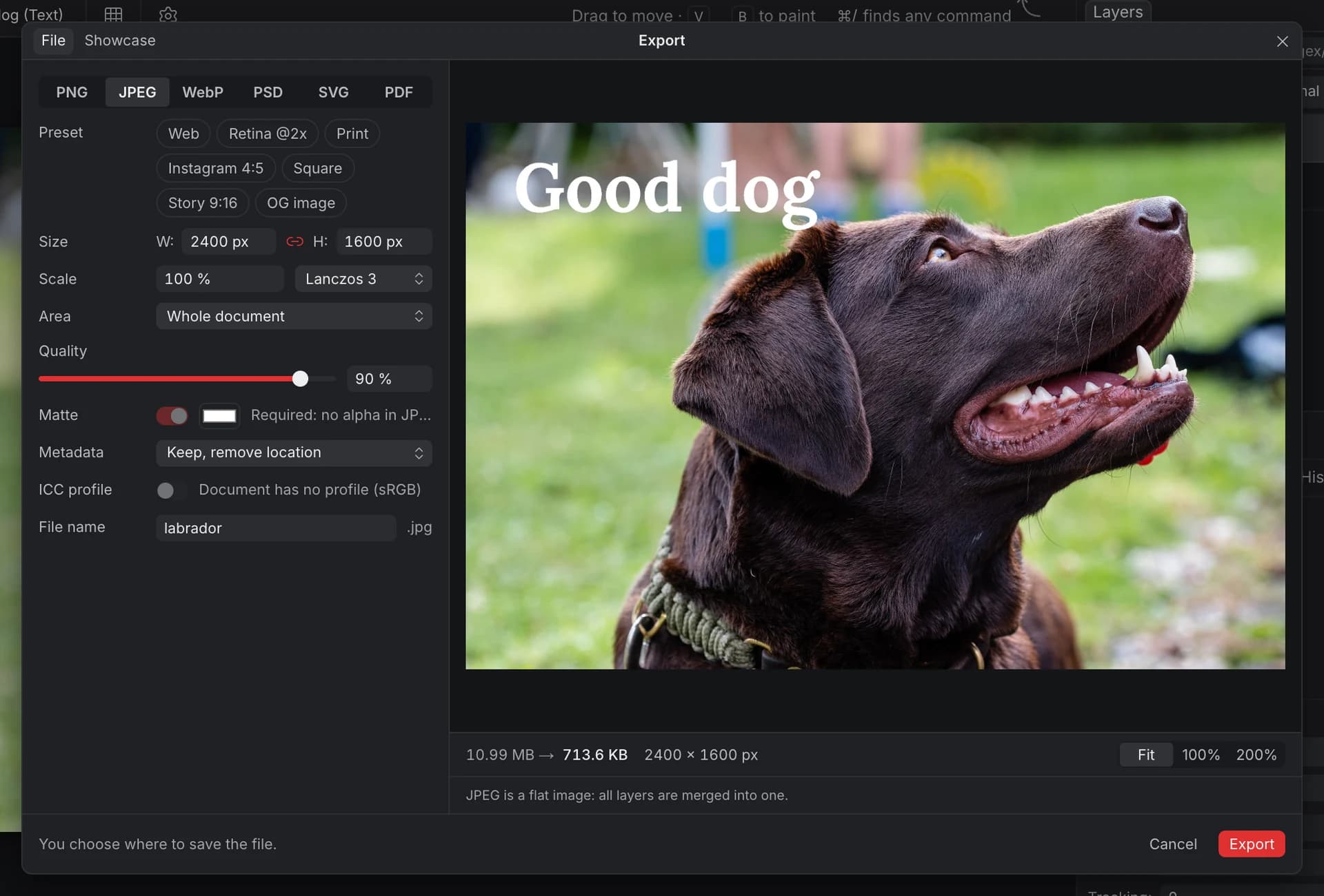 The Export dialog with JPEG selected: size 2400 × 1600 px, scale 100 % with Lanczos 3, area Whole document, quality 90 %, a white matte, metadata and file name, next to a preview of the photo with its estimated file size