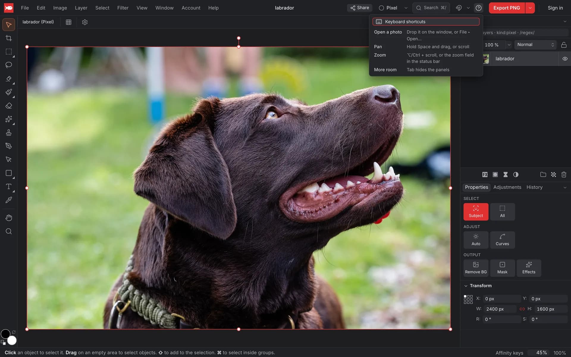 The koi.photo editor with a photo of a labrador open and the Help popover showing Keyboard shortcuts and first steps: open a photo, pan, zoom, more room