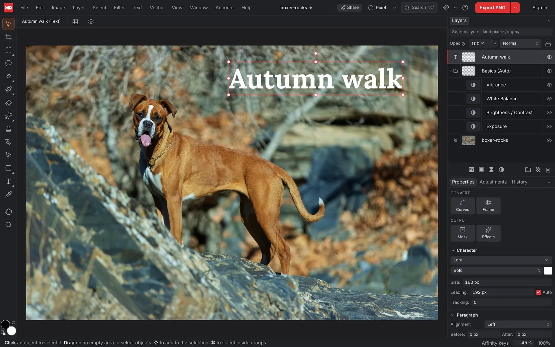 koi.photo with a photo of a boxer dog on rocks, a white “Autumn walk” title, and the Layers panel showing a text layer, a Basics adjustment group and the photo