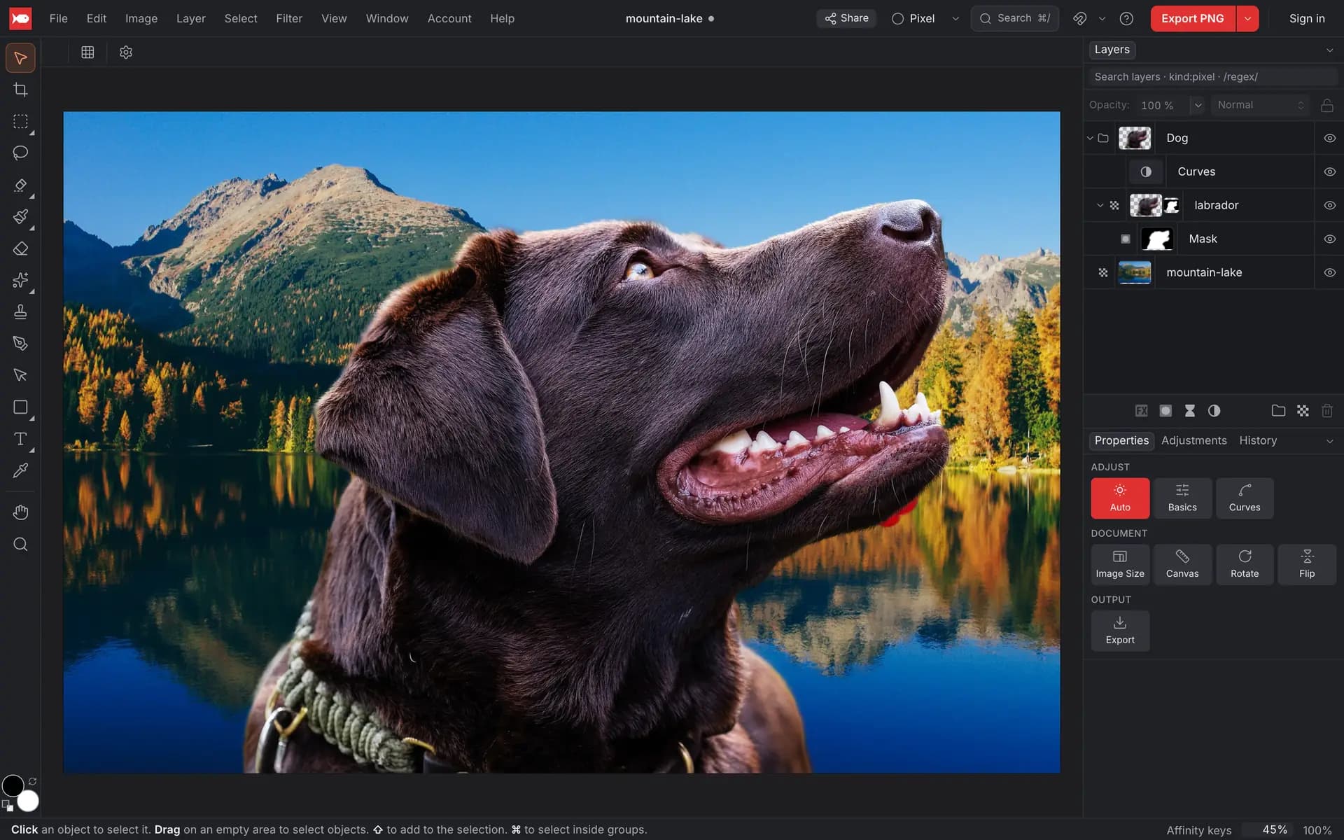 A labrador cut out with a layer mask and placed in front of a mountain lake, with the Layers panel showing a Dog group, a Curves adjustment, the labrador layer with its mask and the mountain-lake photo