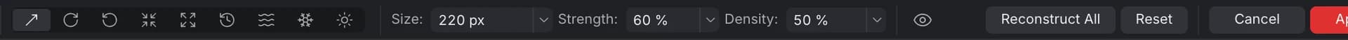 Liquify's context toolbar: nine tool buttons, then Size, Strength and Density, and an overlays button
