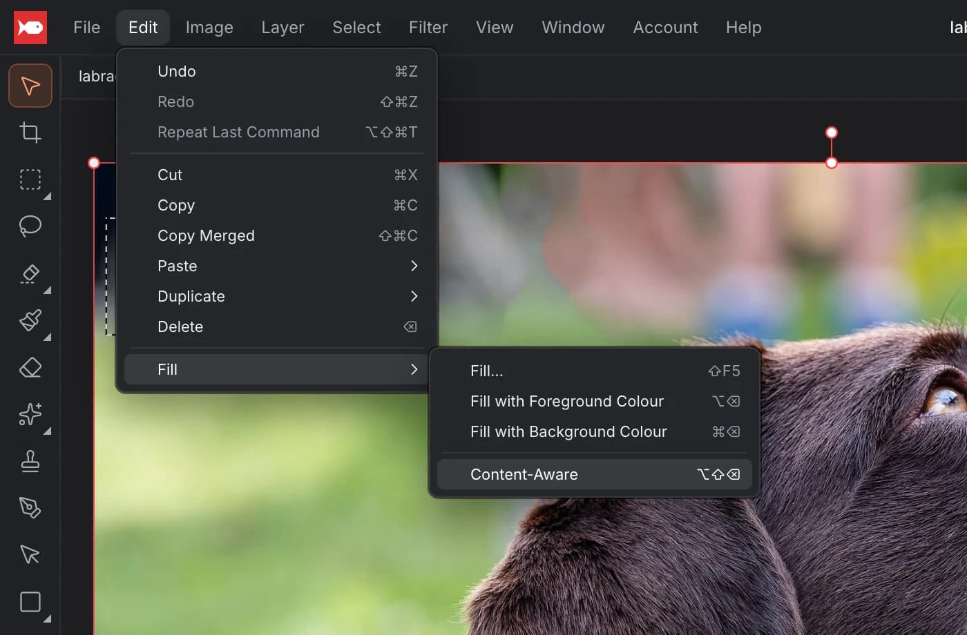 The Edit menu open with Fill and its submenu showing Fill…, Fill with Foreground Colour, Fill with Background Colour and Content-Aware