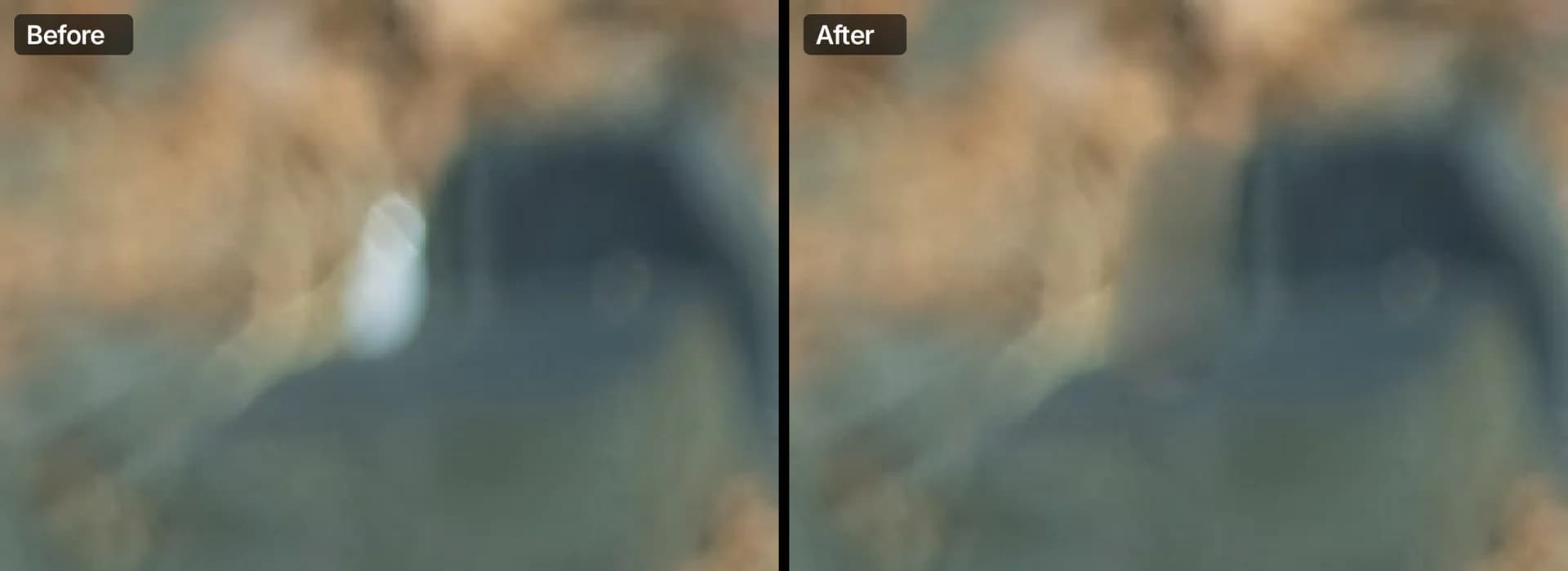 Before and after: a bright white fleck in the blurred background of a photo is healed away and matches the surrounding tones