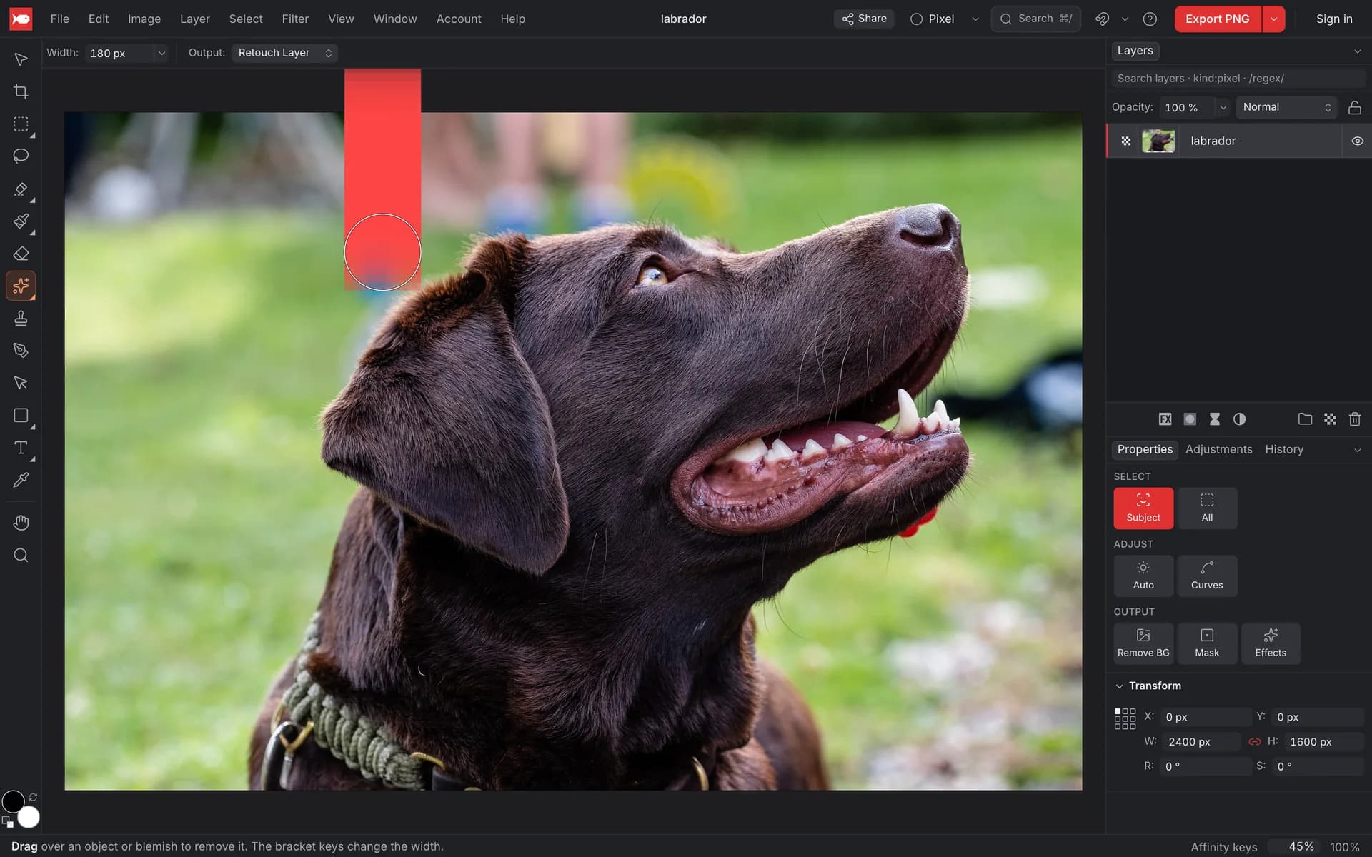 The koi.photo editor with the Remove tool active and a red stroke painted over the pole behind the dog