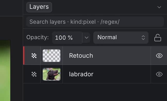 The Layers panel with a new Retouch layer above the labrador photo