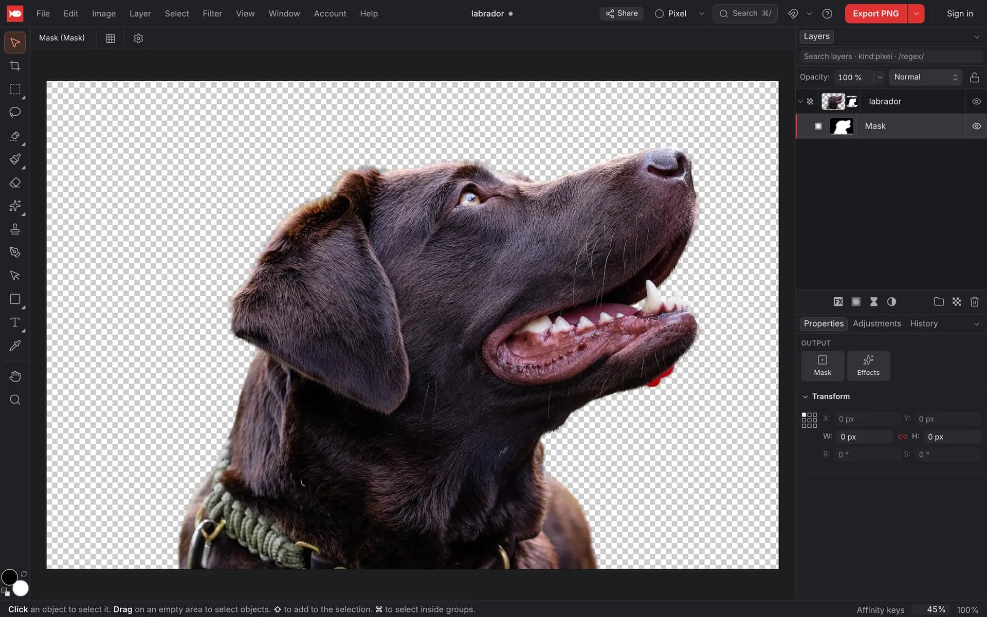 A photo of a labrador with the background removed, shown on a transparent checkerboard, with the new layer mask in the Layers panel