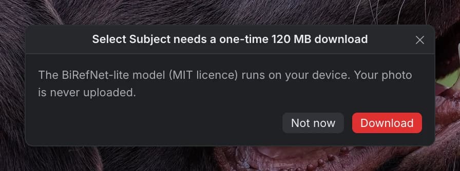 Prompt: Select Subject needs a one-time 120 MB download. The BiRefNet-lite model (MIT licence) runs on your device. Your photo is never uploaded.