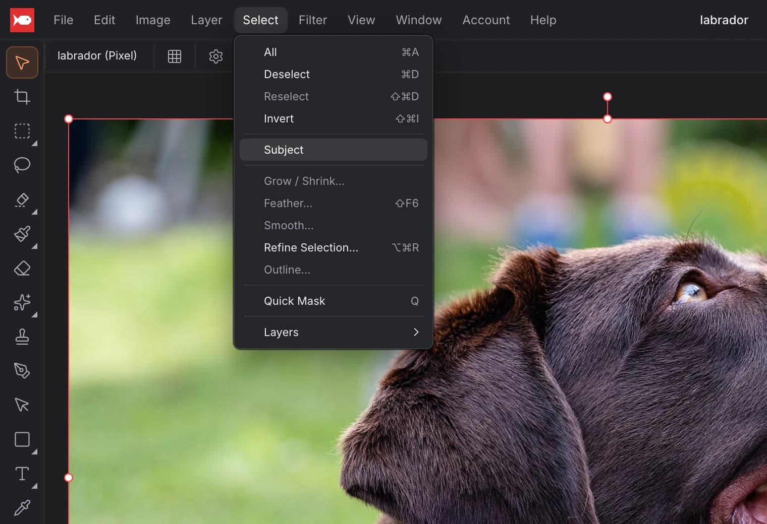 The Select menu open in koi.photo with Subject highlighted