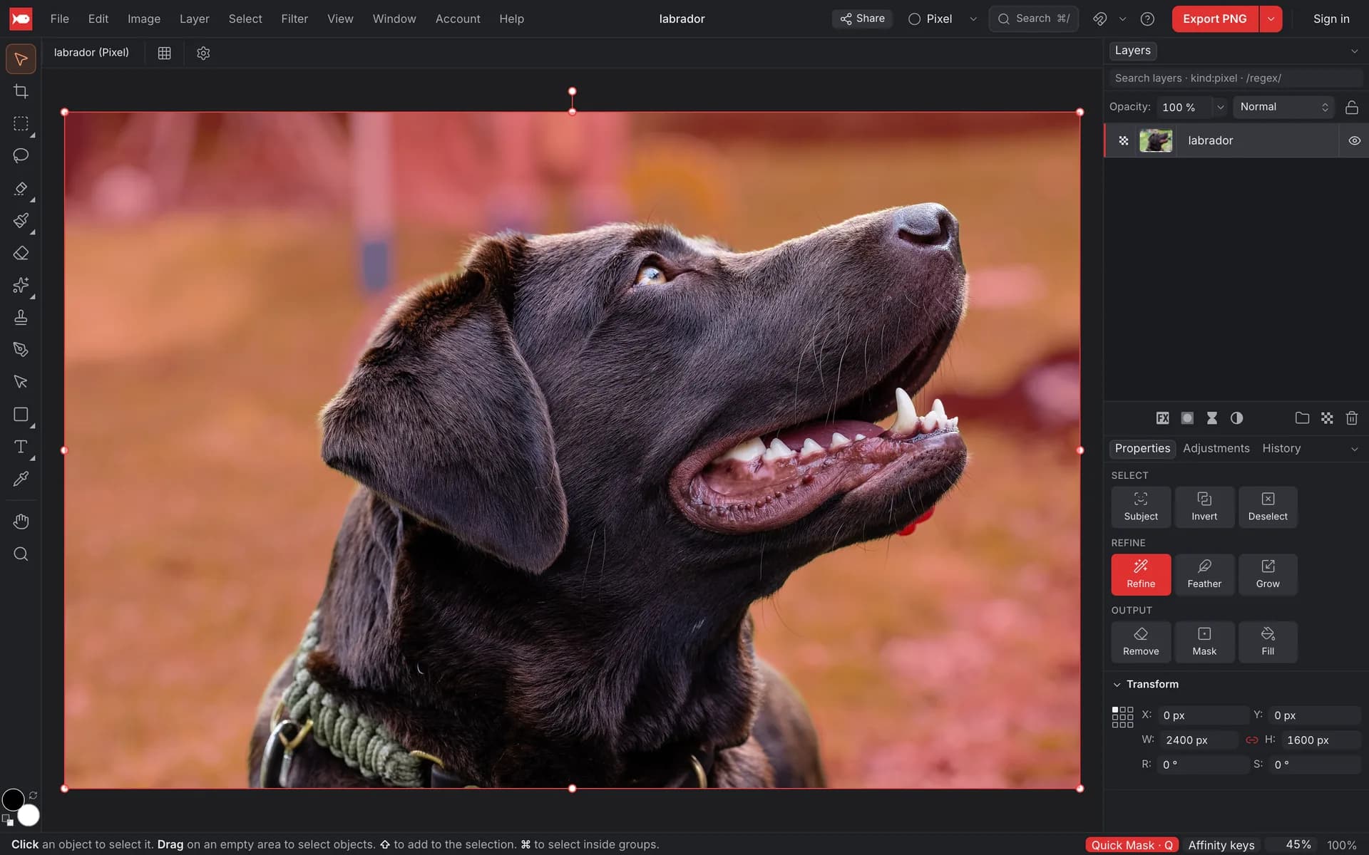 A labrador photo in Quick Mask mode: the dog is selected and shows normally, the background is covered by a red overlay, and a Quick Mask · Q chip shows in the status bar