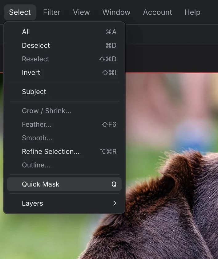 The Select menu: All, Deselect, Reselect, Invert, Subject, Grow / Shrink…, Feather…, Smooth…, Refine Selection…, Outline…, Quick Mask and Layers
